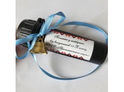 капсула, яка здатна зберігати спогади