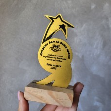 Нагородка Зірка