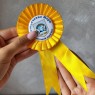 Значки першокласників з жовтою розеткою